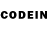 Псилоцибиновые грибы GOLDEN TEACHER Warid Wariff