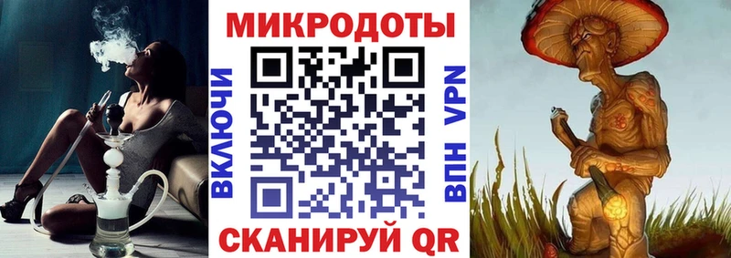 Псилоцибиновые грибы Psilocybe  Минусинск 